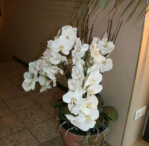 Albertus Paris Hotel apartamentowy Hamburg